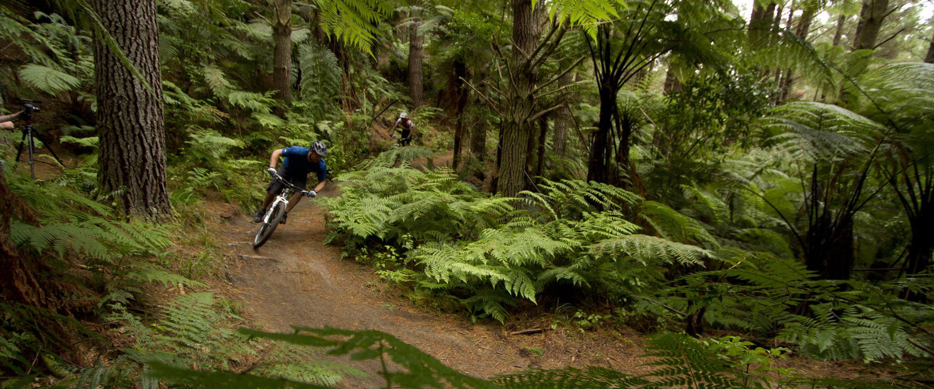 quarry ridge mtb